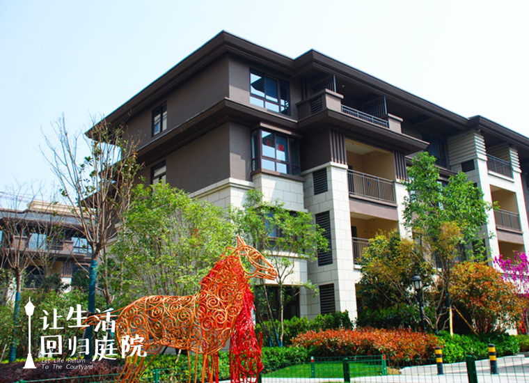 前后张望南阳50年：这样的庭院，，，，，，，很难再有了！