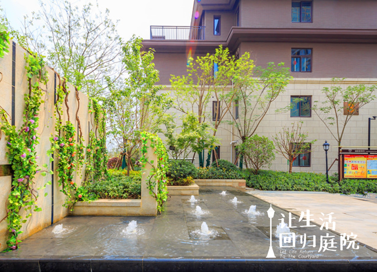 前后张望南阳50年：这样的庭院，，，，，，，很难再有了！