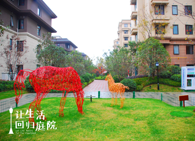 前后张望南阳50年：这样的庭院，，，，，，，很难再有了！