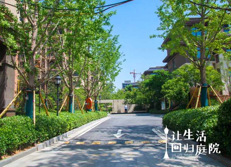 前后张望南阳50年：这样的庭院，，，，，，，很难再有了！
