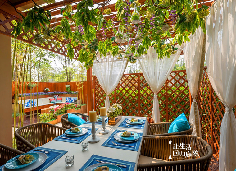 前后张望南阳50年：这样的庭院，，，，，，，很难再有了！