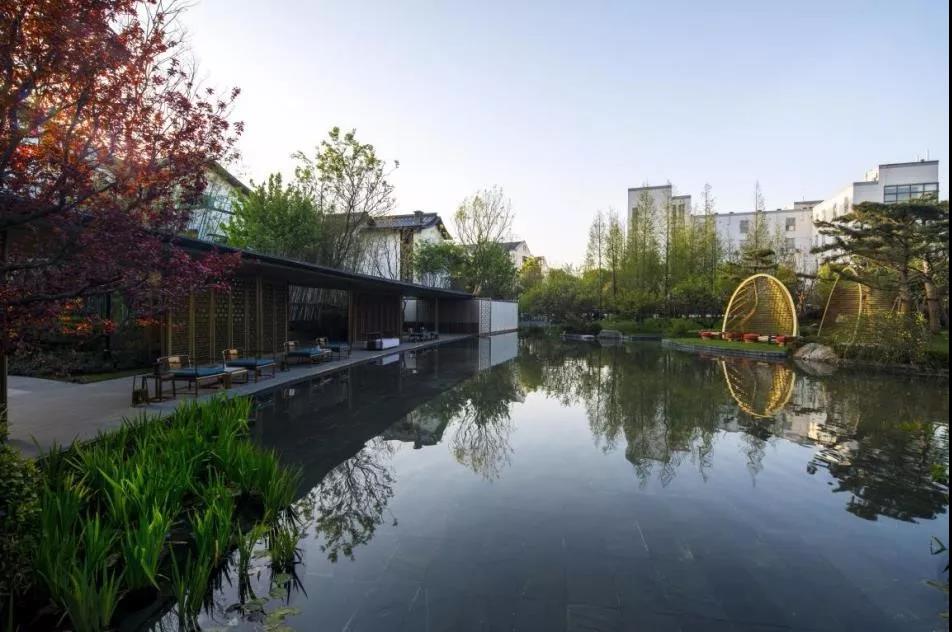 实力加持 皇家国际再登超等产品力Top榜