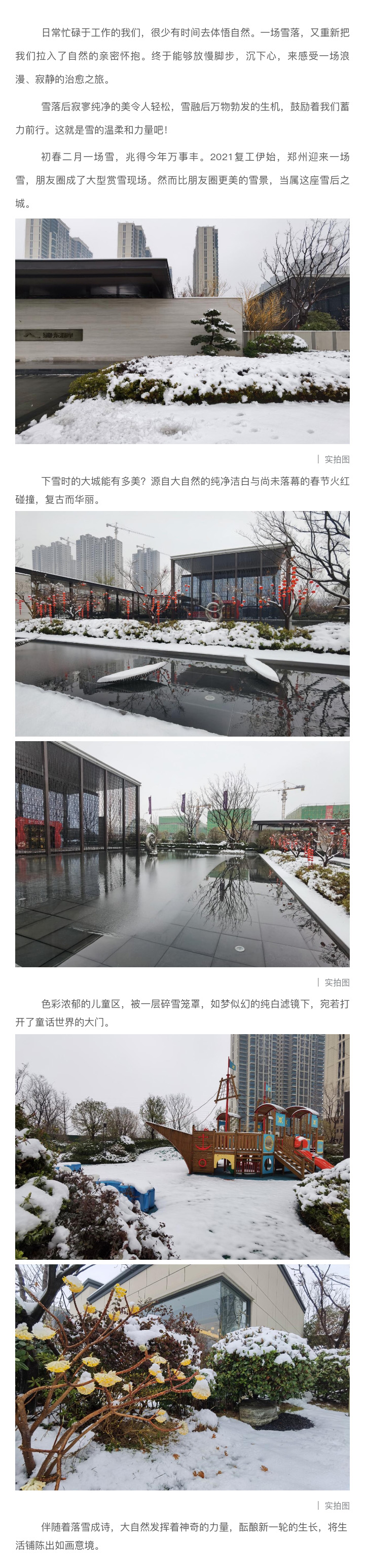 2021浪漫开年，，，，，，，共赏一场鹅毛大雪！