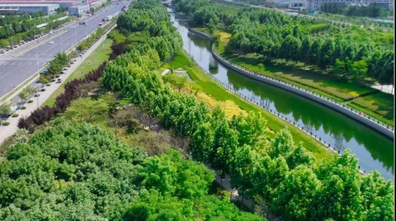 8#楼王加推在即 | 经开顶流热盘，，，，，这一次万万别错过！