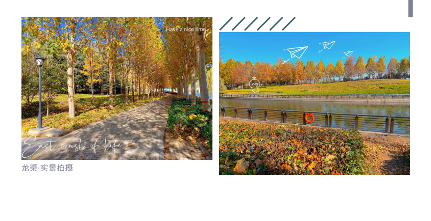 钜惠即止，，，捡漏经开超人气明星热盘！